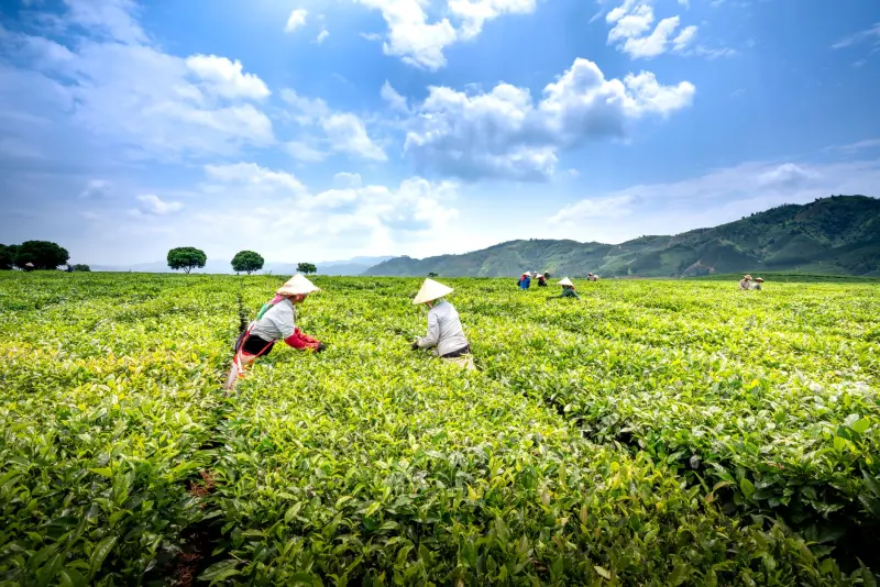 2025年电商ERP软件光盘技术升级方向与选型指南